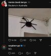 Australijskie routery takie są