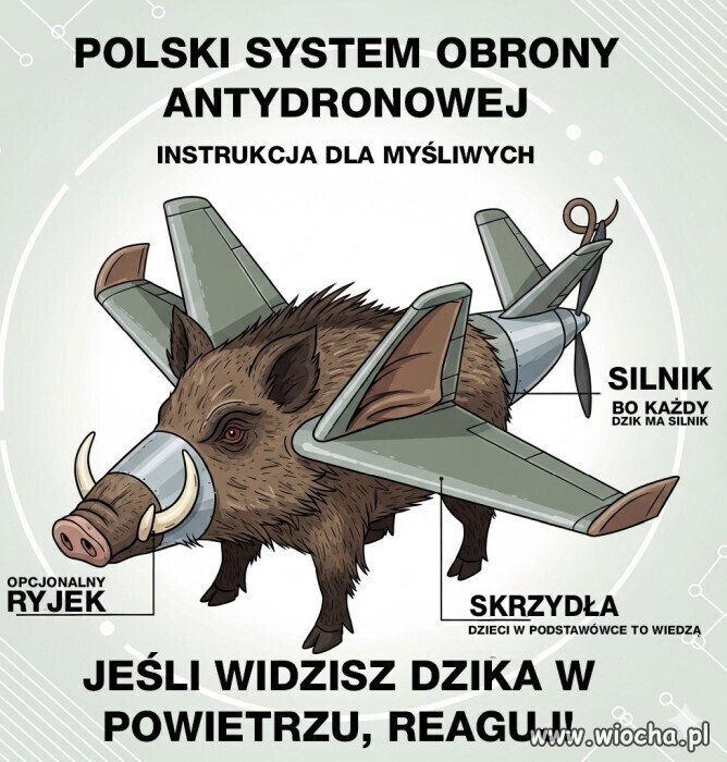 Poradnik dla myśliwych