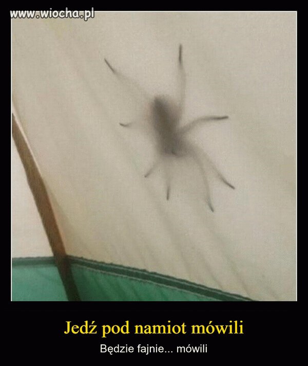 Pod namiotem