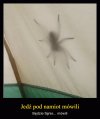 Pod namiotem