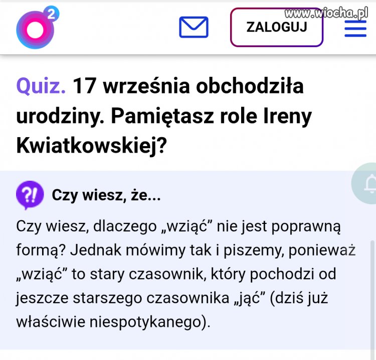 Kolejne kwiatki internetowe