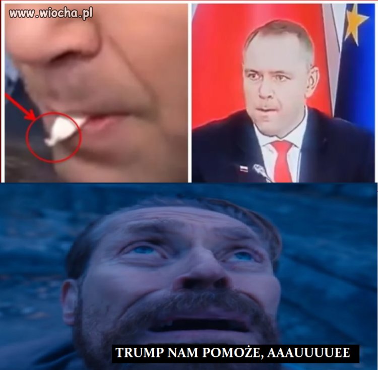    wsparcie trampa to zwidy ćpuna