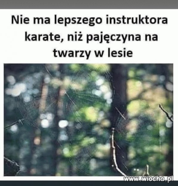 Nie da się temu zaprzeczyć
