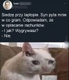 Synek, tej walki nie wygrasz 