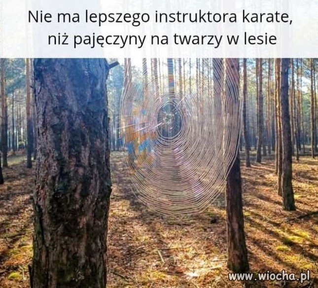 Everybody was kung-fu fighting
