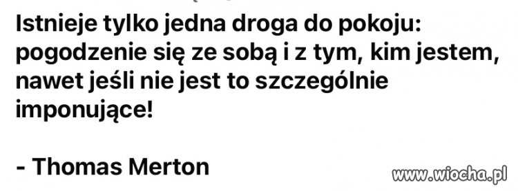  bez tytułu