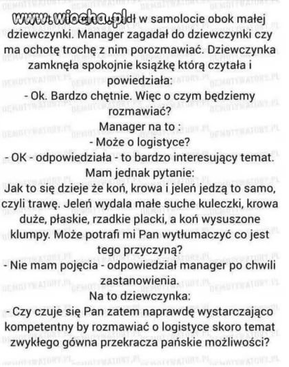 Spedytor w firmie transportowej.