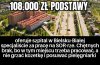 I tak to wygląda