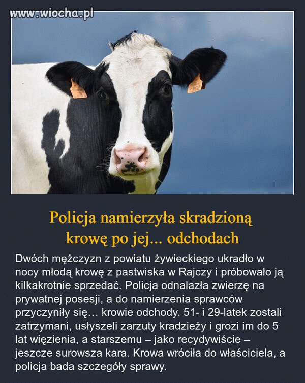 Made in Poland