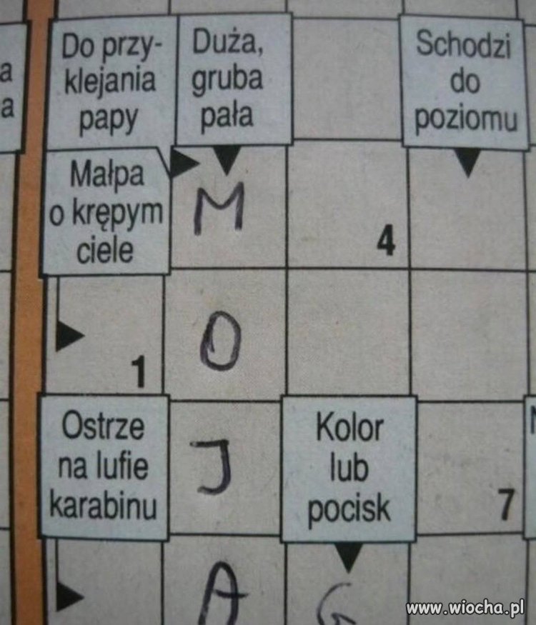 Zgadza się 