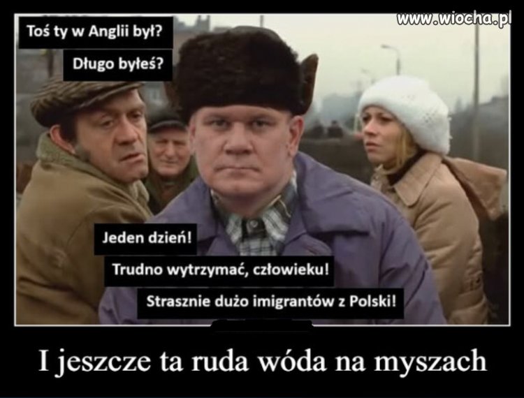 Emisariusz Kaczynskiego od szczucia na imigrantow