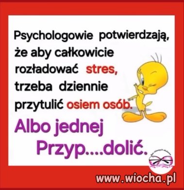 Cwelanek gdzie jesteś? Chono tu.