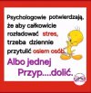 Cwelanek gdzie jesteś? Chono tu.