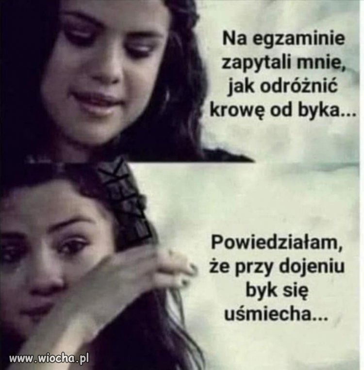 Zaliczenie na rolniczej