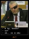 Mówisz i masz !