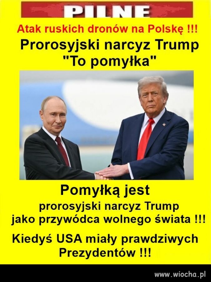 Jakich PiSiory mają przyjaciół ?