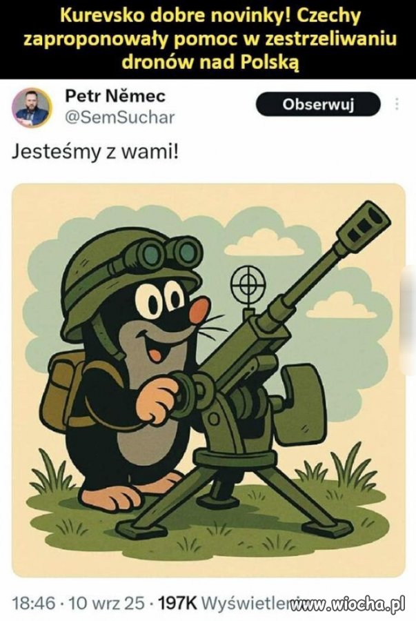 Czesi pomogą i to się chwali.