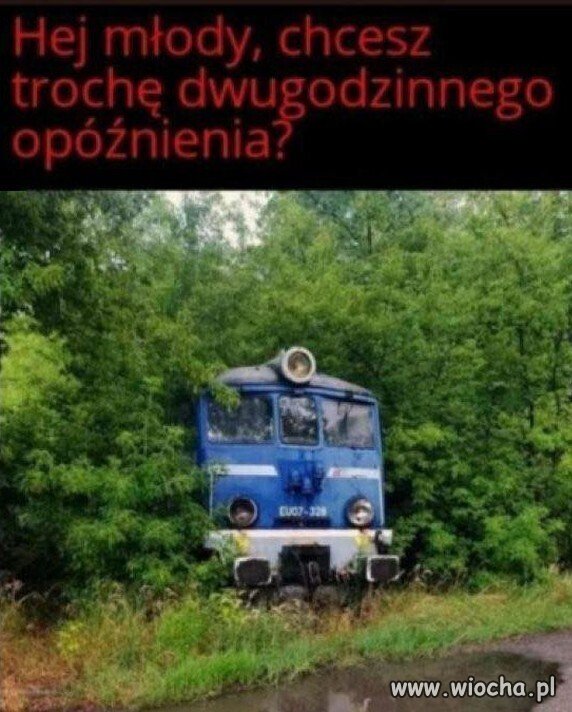 Opóźnienie dla każdego