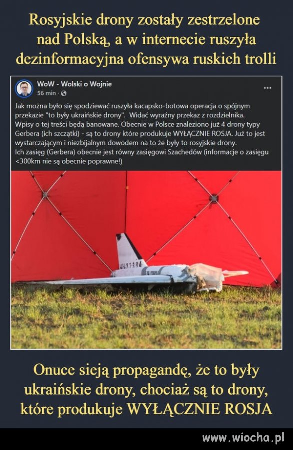 Można się było tego spodziewać ...