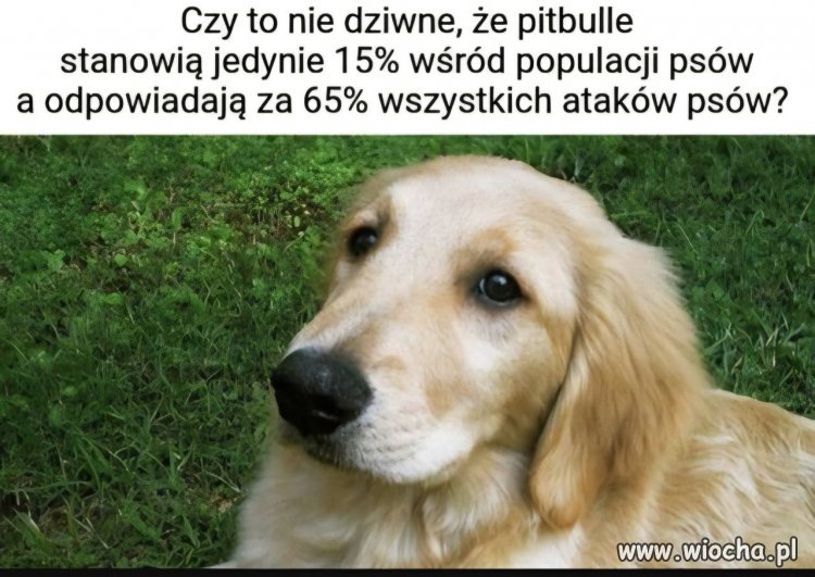 Dziwne...
