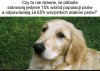 Dziwne...