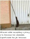Teściowa