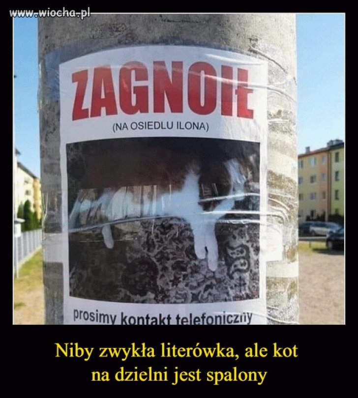 Zwykła literówka