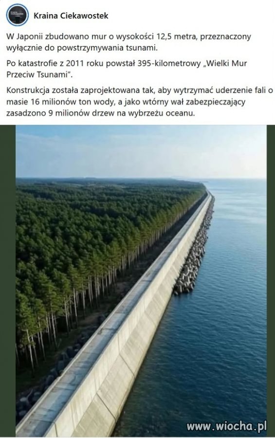 W Polsce do dziś trwał by przetarg 