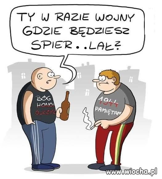Silni w pysku