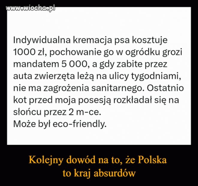 Tymczasem w kraju nad Wisłą