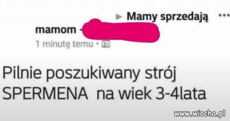 Ktoś coś? 