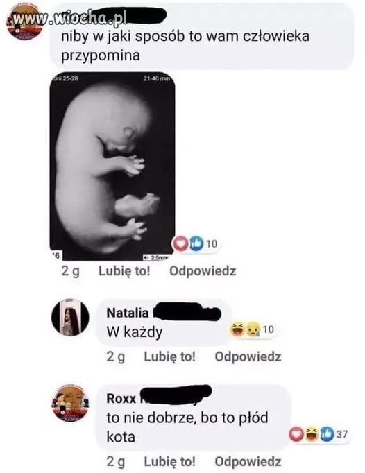 Więcej religii w szkołach, więcej