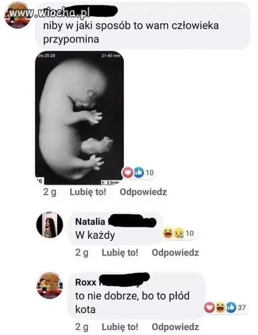 Więcej religii w szkołach, więcej