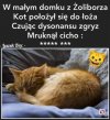 W małym domku z Żoliborza