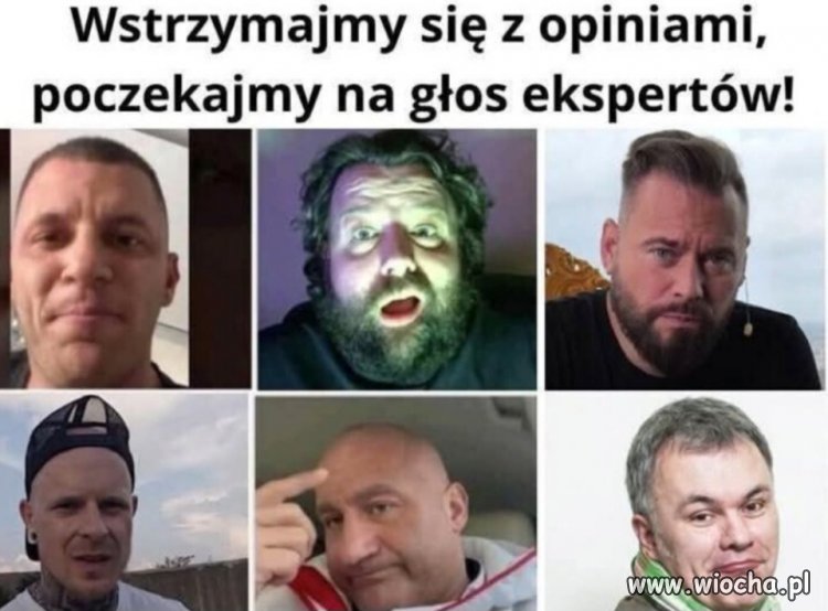 Znawcy i specjaliści 