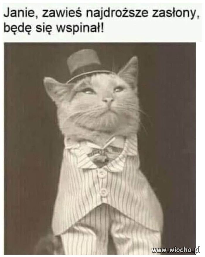 Ino chyżo, parobasie jeden