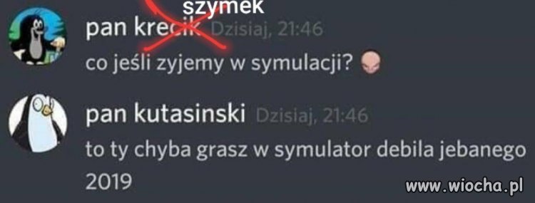 Symulator debila 