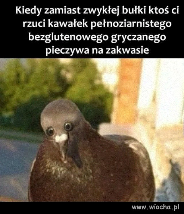 Też bym zrobił takie oczy