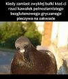 Też bym zrobił takie oczy