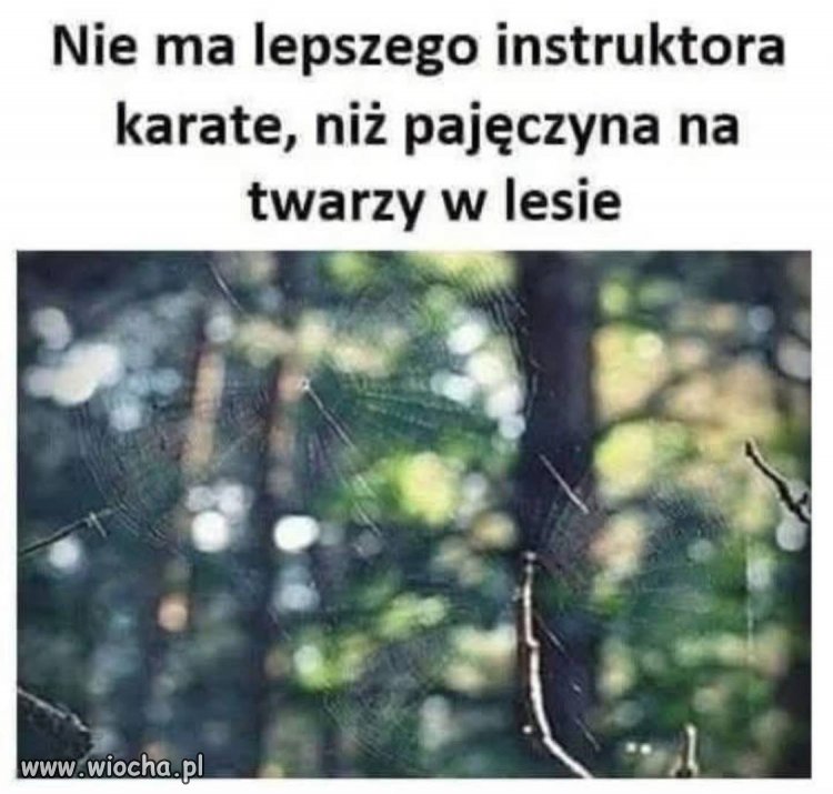 Leśna szkoła karate