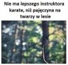 Leśna szkoła karate