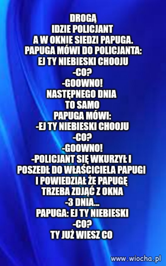 Suchar na czasie