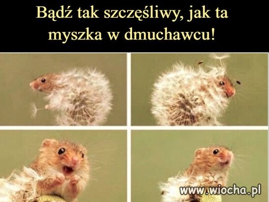 A może tak bez polityki i religii 