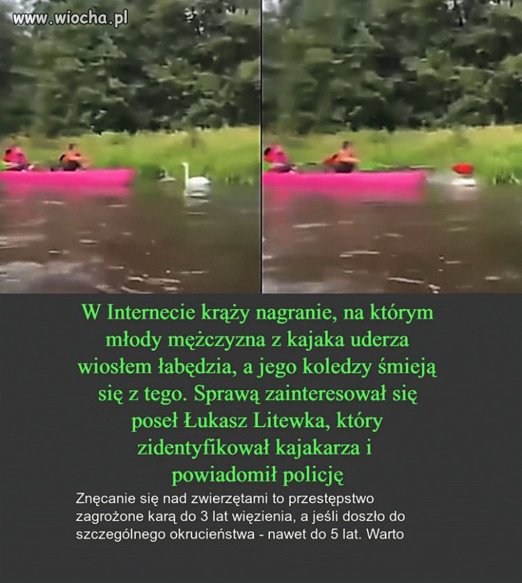 Szkoda, że ten pajac się nie utopił