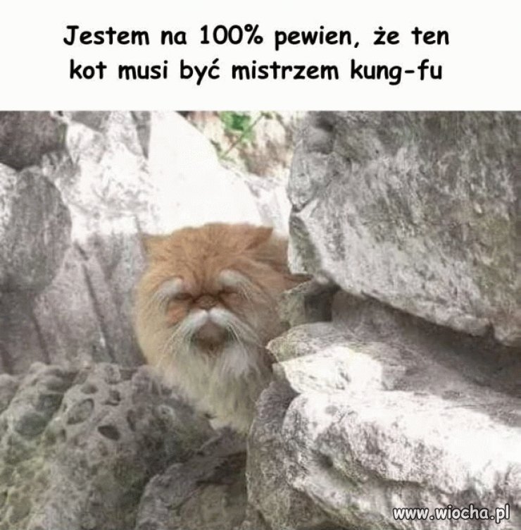 Legendy Kung-Fu