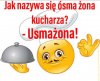 Wiocha językowa