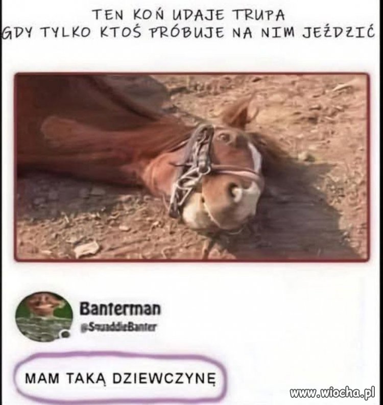 Kiedy udajesz martwego, żeby tylko mieć spokój?