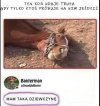 Kiedy udajesz martwego, żeby tylko mieć spokój?