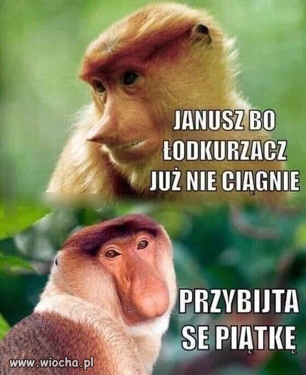 I tak i nie 