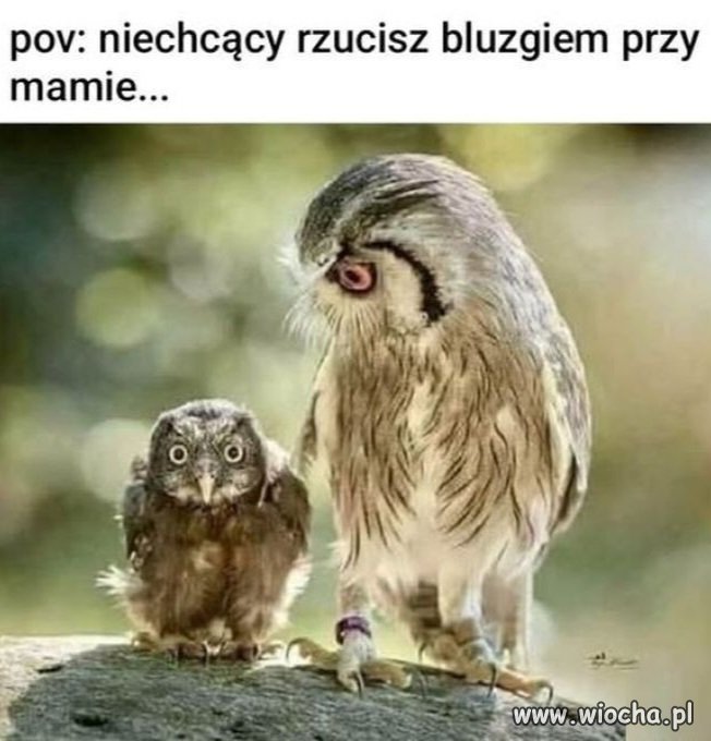 Ej ej synek 